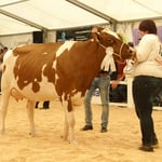 Kat.13, Rang 1, SAMIRA Flückiger Niklaus