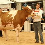 Kat. 14, PAPRIKA von Roth Ernst