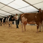 Line Up Kategorie 1 mit Siegerinn Zwysa-Farm Hvezda ROVERDA