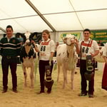 Rinderchampions Expomittelland 2014