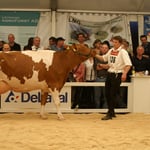 Kat.14, LEIKA von Stotzer Adrain + Andreas