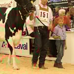 Kat.16 Sahli's mit Acme JOLENE