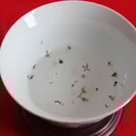 ほんのり“ゆかり”の風味を感じる白湯