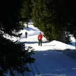 Höhenloipe und Wanderweg