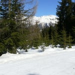 Höhenloipe von der Berstation zum Platschjoch