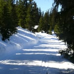 Höhenloipe und Wanderweg