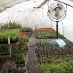 Vermehrungsbereich 2012-2013