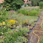 Aussenstellfläche 2012-2013