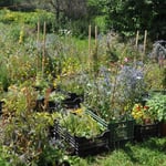 Aussenstellfläche 2012-2013