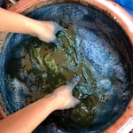 無農薬　有機栽培のタデアイから、天然灰汁発酵藍染め