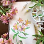 ６月号_アリストロメリア