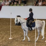 Mit Dank an Anja Beran, Sylvia Wimmer und dem tollen Foto von Maresa Mader