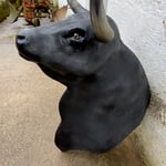 Wie der große schwarze Stier nur in der Farbe grau/schwarz Preis Kopf und fahrbare Halterung 750,00 Euro, 