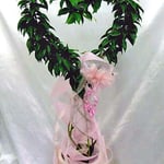 ￥10000  78×156x32　ハート型ベンジャミン※入手不能品