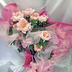 ￥12000　35x90x30　牡丹