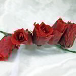 ￥3000　9x4x4　プリザーブドフラワー加工ヘアード（元生花別）