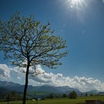 Seminarhaus Eagle Coaching & Events