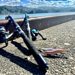 レンタル釣竿で釣りを楽しむこともできます。