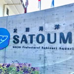 土佐清水市にはかわいい水族館があります。