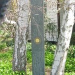 Standing stone - Ian Marr