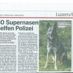 Xando von der Gletscherhöhle; Bericht 20 min.