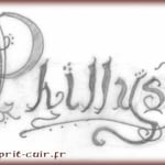 Croquis typographie "Phillys" réalisé par le Client.