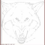 Croquis "Tête de loup".