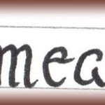 Croquis Omega réalisé par Esprit Cuir.