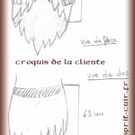 Croquis jupe réalisé par la Cliente.