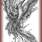 Croquis "Phénix" pour carquois.