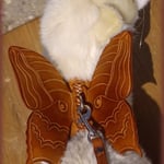 Harnais en cuir pour furet.