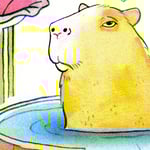 Farben: Aqua / Yellow / Fluorescent Pink / Black