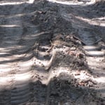 Waldwege leiden unter der Zwangsernte von Schadholz_Villingen-Schwenningen_05-2020