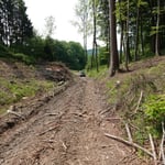 Weg nach der Sturmholzaufarbeitung - selbst mit Jeep nicht mehr befahrbar_Salem_05-2020