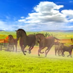 Meine Tierstation im Outback 3D