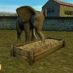 Meine Zoo-Tierarztpraxis 3D