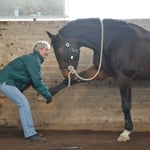 Wosch äch mache was ig säge??! ;-)