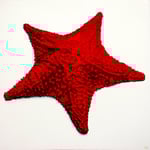 Star.  (Collection of Tracey Pereira)