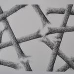 Antonio de Diego Arias