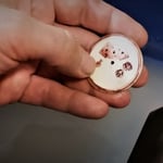 Aufwendiges Polieren per Hand im Wasserbad