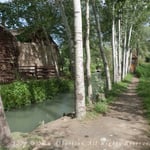 Mulberry Paper Mill Uzbekistan