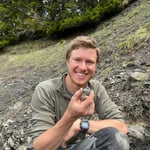 Fensterquärzchen aus den Vitznaumergeln