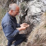 Alles genau studieren