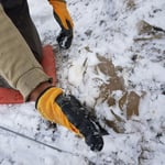 Bergkristall im Schnee - Strahlen Schweiz