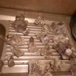 So macht Reinigen Spass!