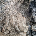 Bergkristalle frisch aus der Kluft