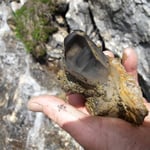 Herrlicher Phantomquarz!