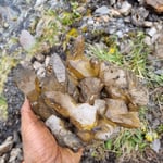 Bergfrische Stufe - so muss es sein!