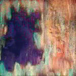 Tübinger Quartet:  Neckarfront uv. Quatuor Tubingois: fassade du Neckar