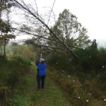 Freischneiden der Lifttrasse